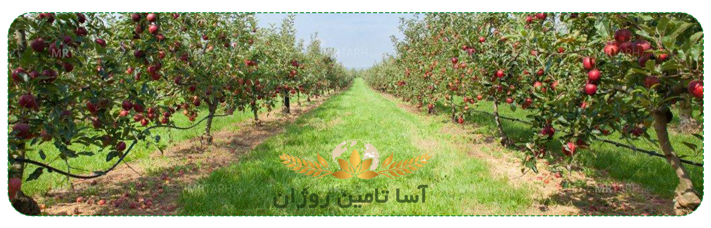 کود اورگانیک درختان